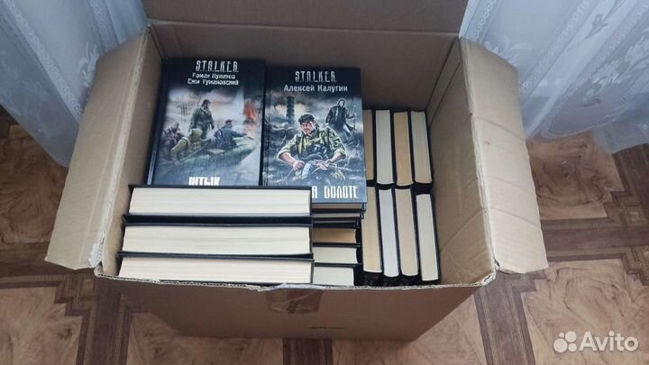 Stalker книжки