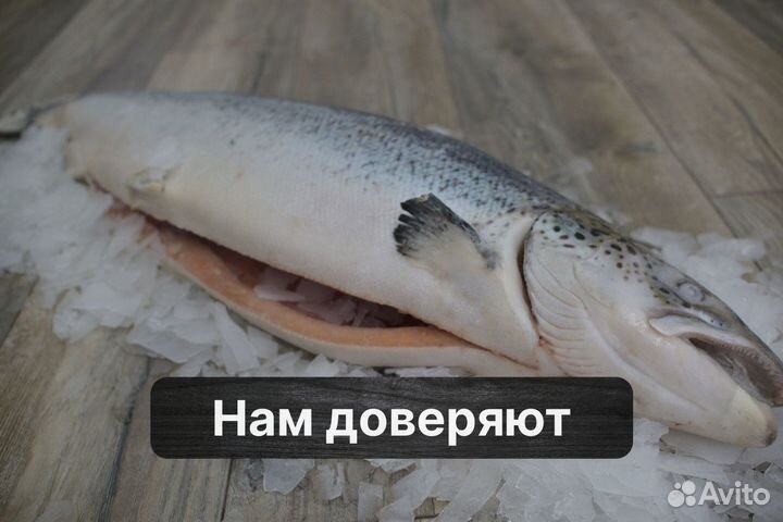 Рыба опт / розница собственное призводство