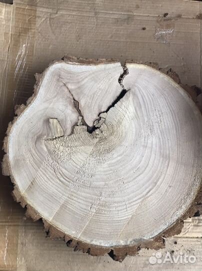 Спилы, слебы торцевые