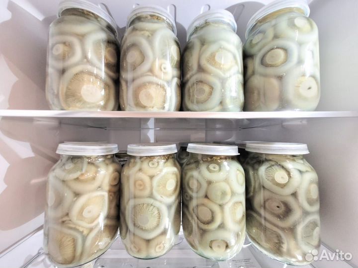 Грузди солёные