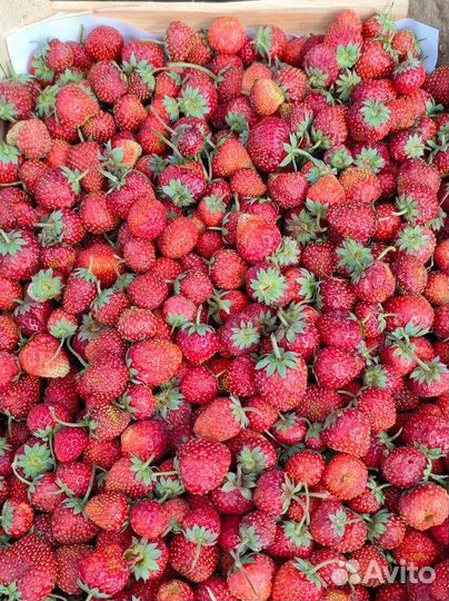 Ящик 3л Спелой ягодки