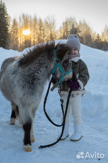 Развлечения для детей