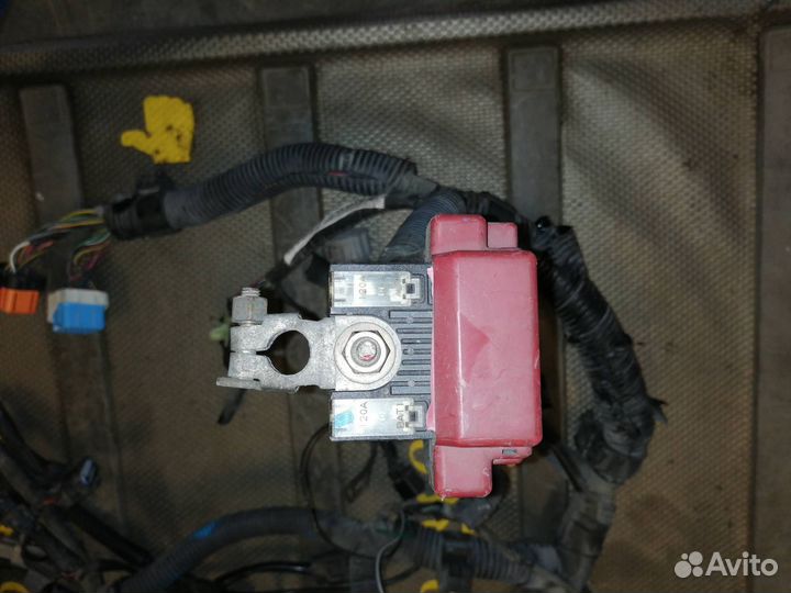 Проводка двигателя Mitsubishi Colt 6 (Z20/Z30)