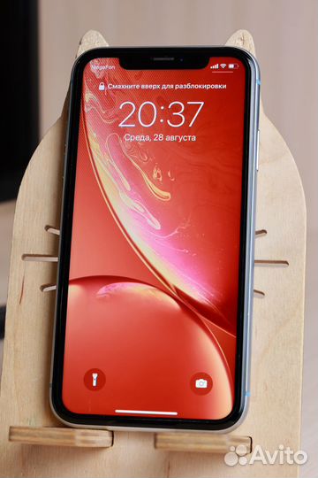 iPhone Xr, 256 ГБ