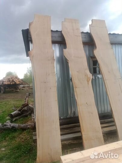 Доска дубовая необрезная