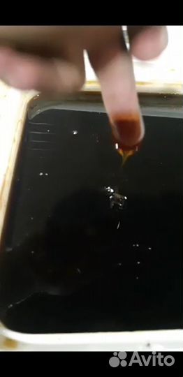 Мёд