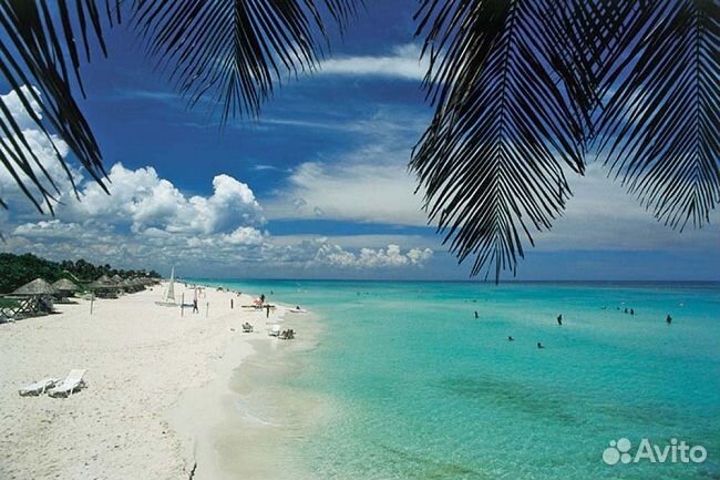 Куба из Москвы