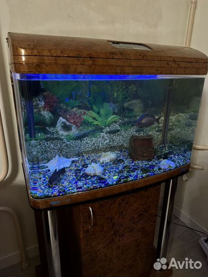 Аквариум с тумбой 143л