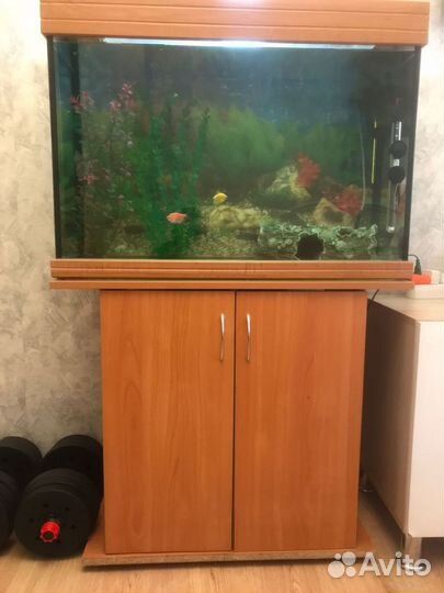 Аквариум с тумбой 500 литров