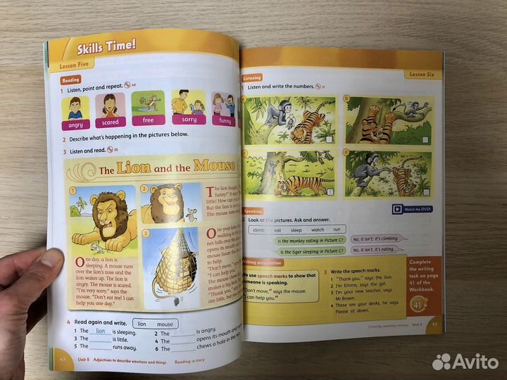 Family and friends 3 +грамматика