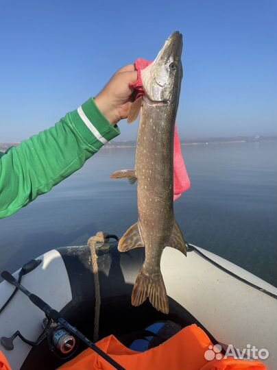 Лодка с мотором suzuki 4лс