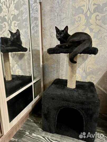 Домик когтеточка лежанка