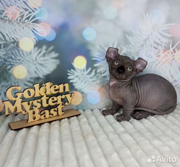 Сфинкс Двэльф