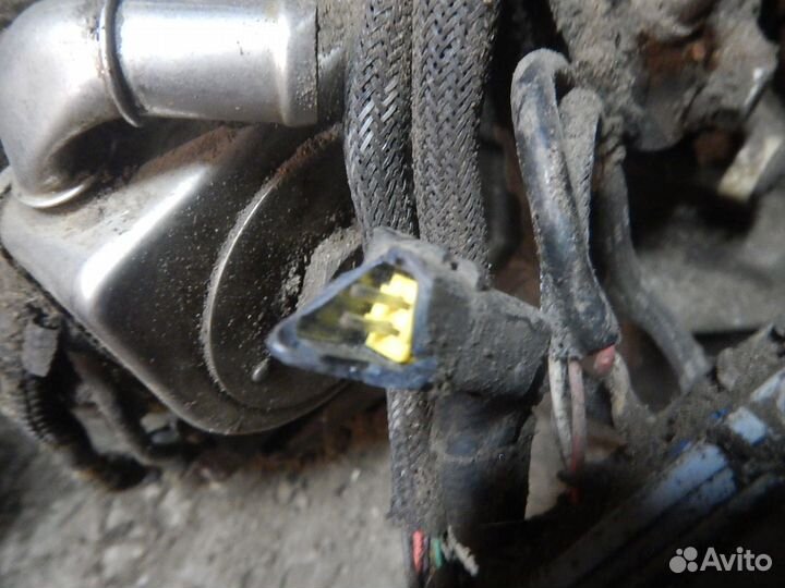 Акпп/вариатор/робот Citroen C4