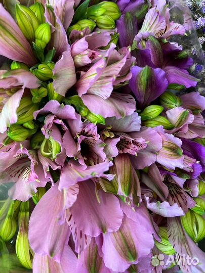 Букет из альстромерий, доставка цветов