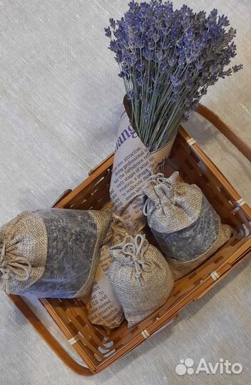 Набор из сухой лаванды