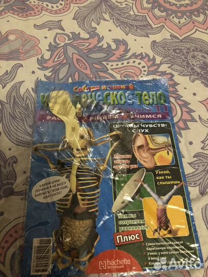 Журнал Собери и познай человеческое тело выпуск 11