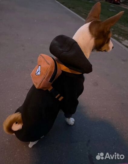 Шлейка-рюкзак для собаки