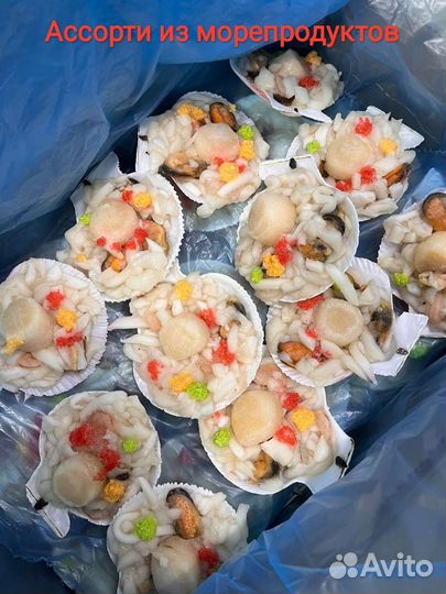 Гребешок курильский