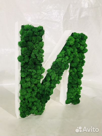 Логотип из стабилизированного мха(натуральный мох)