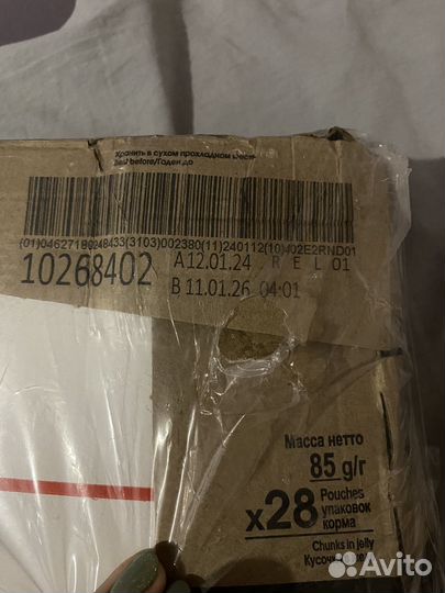 Корм для котят royal canin