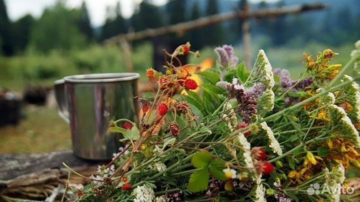 Очищение жкт