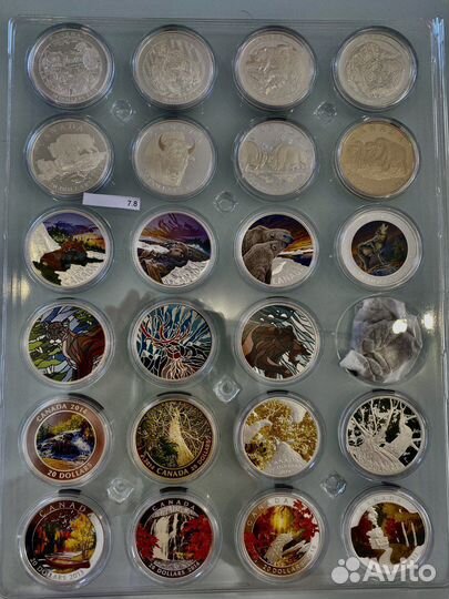 Частная коллекция серебряных монет