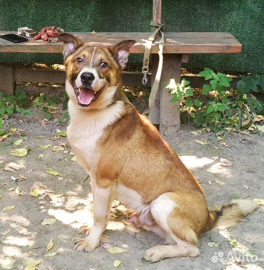 Очаровательный подросток Рэй ищет дом