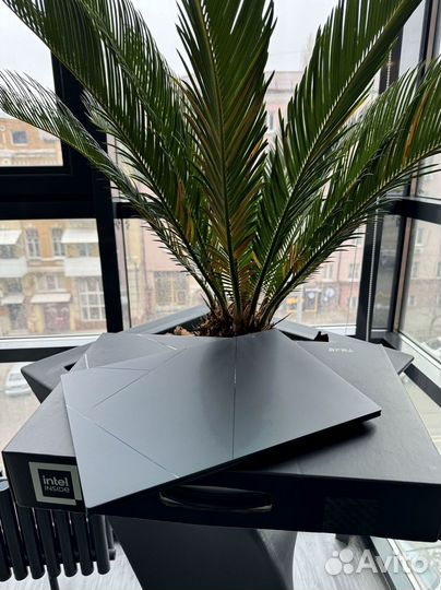 Ноутбук asus Zenbook 14/Ultra9 185H