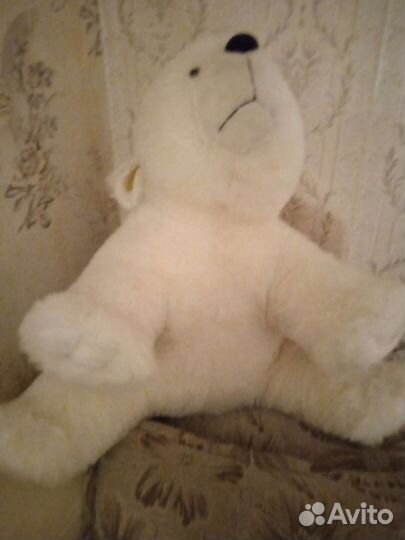 Медведь белый полярный