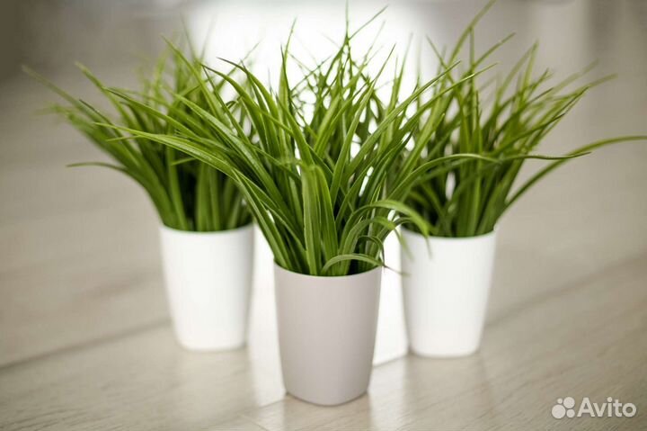 Искусственная зелень, трава, осока в кашпо
