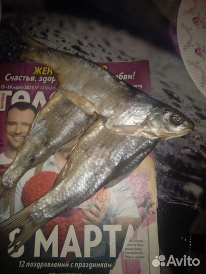 Рыба с журналами