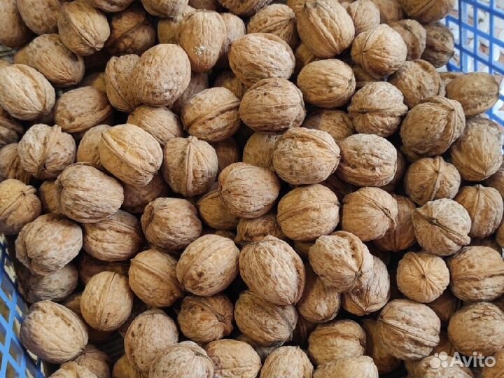 Орех грецкий