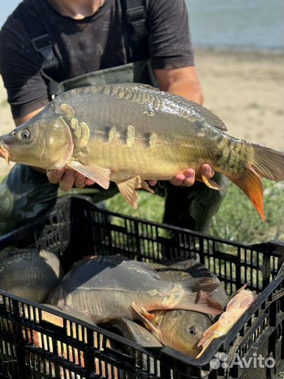 Рыбалка отдых