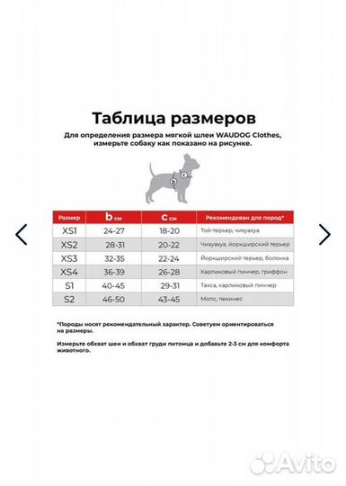 Шлейка для собаки