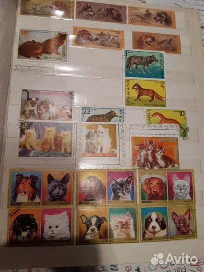 Большой альбом с марками