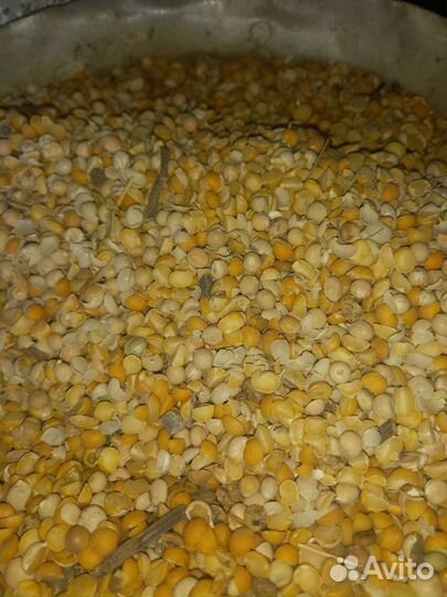 Горох (гороховые: дроблёнка, отруби, мука)