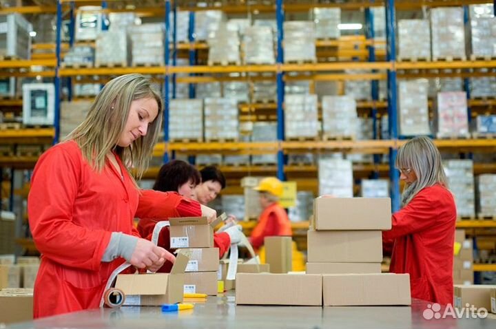 Кладовщик с еженедельными выплатами