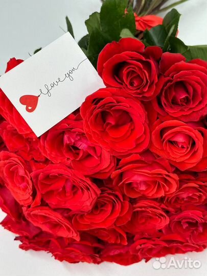 Цветы шерегеш