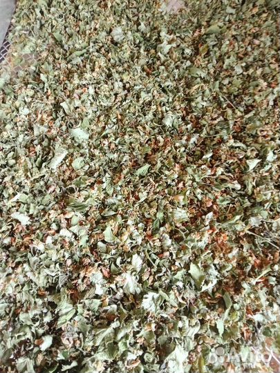 Чай смородина