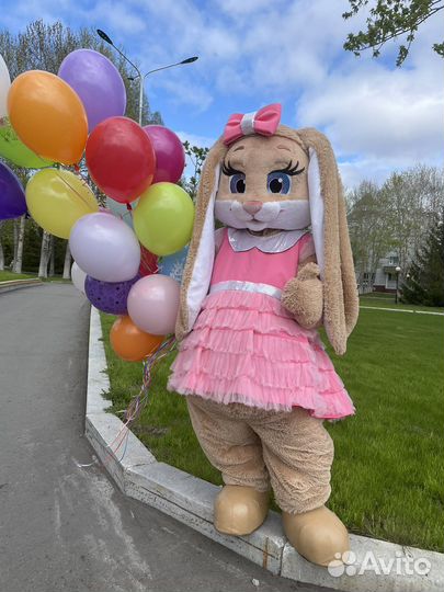 Зайка и мишка тедди