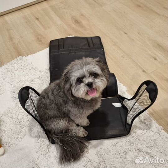 Переноска для собак в самолет