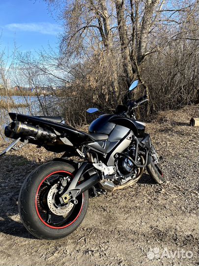 Suzuki B-King (suzuki gsx 1300 hayabusa)