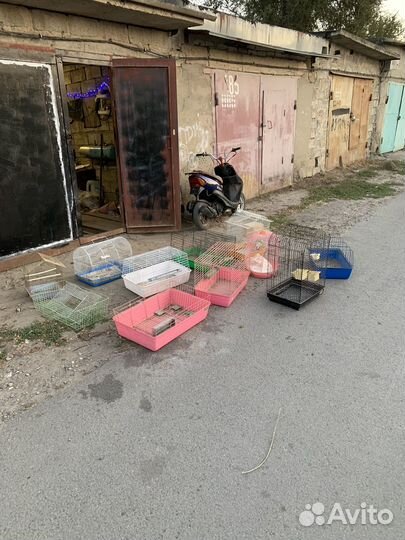 Клетки для грызунов,попугаев