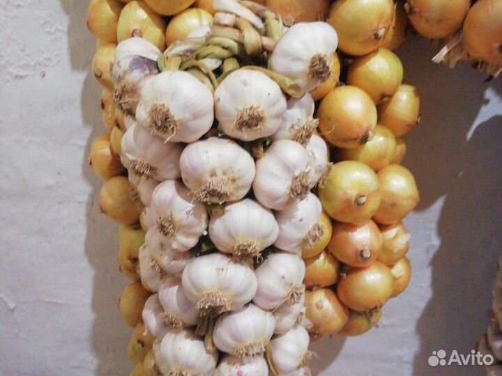 Продам картофель