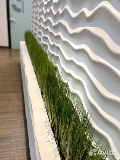 Зелень для зонирования и декора