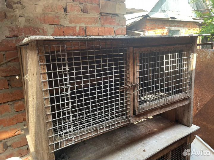 Клетки для перепелов или цыплят