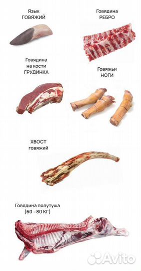 Мясо говядина