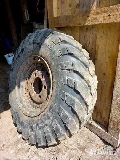Шины на дисках 320-457, 12.00-18, модель к-70