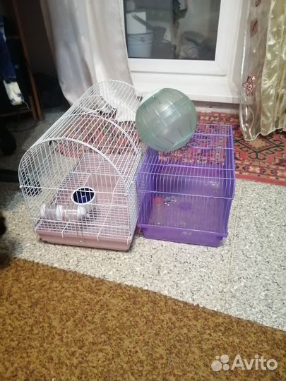 Клетки и комплектующее для грызунов